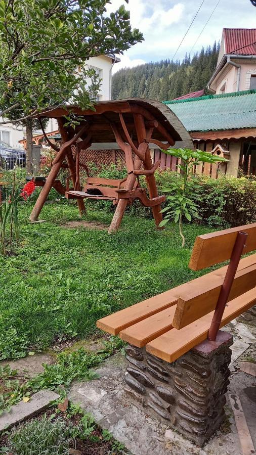 Casa Cu Lavanda Vatra Dornei Buitenkant foto