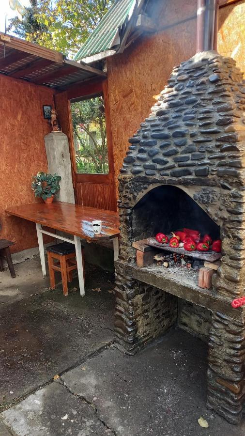 Casa Cu Lavanda Vatra Dornei Buitenkant foto