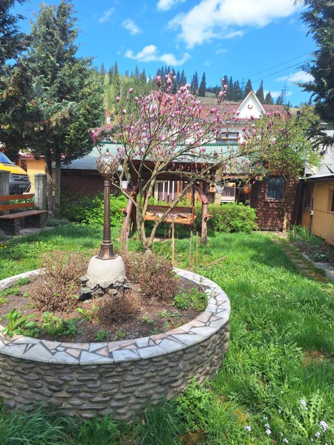 Casa Cu Lavanda Vatra Dornei Buitenkant foto