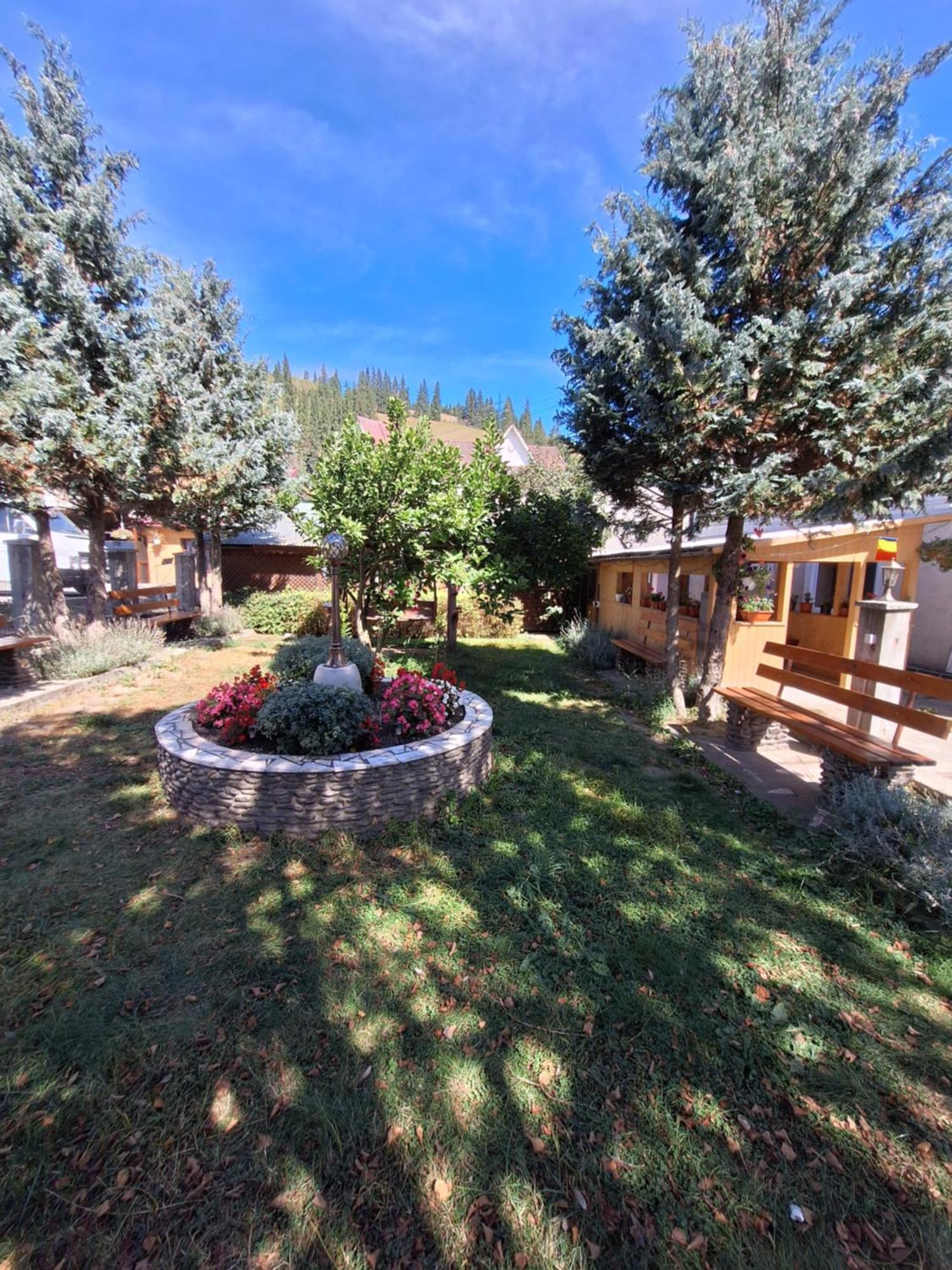 Casa Cu Lavanda Vatra Dornei Buitenkant foto