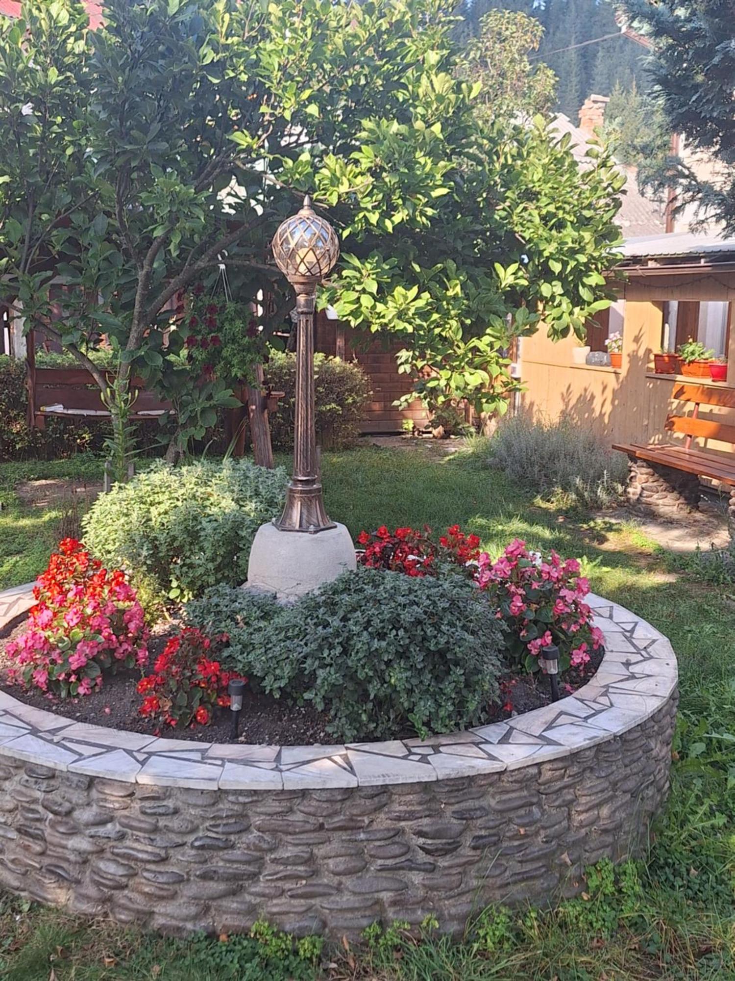 Casa Cu Lavanda Vatra Dornei Buitenkant foto